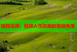 暗网深渊：窥探人性扭曲的黑暗角落