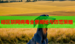暗区禁网病毒全景揭秘与防范策略