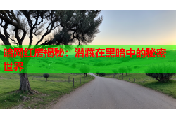 暗网红房揭秘：潜藏在黑暗中的秘密世界