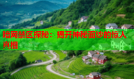 暗网禁区探秘：揭开神秘面纱的惊人真相