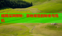 暗网深渊探秘：禁地背后的秘密与危机