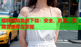 暗网禁地免费下载：安全、匿名、无限资源尽在掌握