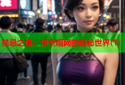 禁忌之境：探索暗网的隐秘世界(1)