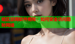 暗区禁网软件揭秘：如何安全访问隐秘网络