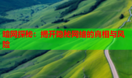 暗网探秘：揭开隐秘网络的真相与风险