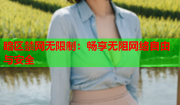 暗区禁网无限制：畅享无阻网络自由与安全
