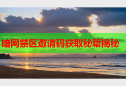 暗网禁区邀请码获取秘籍揭秘