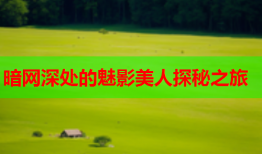 暗网深处的魅影美人探秘之旅