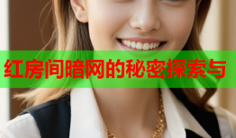 红房间暗网的秘密探索与