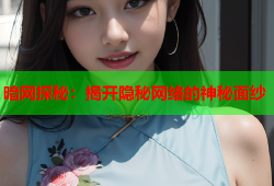 暗网探秘：揭开隐秘网络的神秘面纱