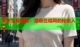 黑市交易揭秘：潜藏在暗网的秘密入口
