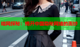 暗网探秘：揭开中国隐秘网络的面纱