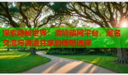 探索隐秘世界：激情暗网平台，匿名交流与资源共享的理想选择