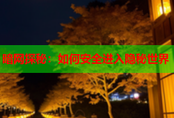 暗网探秘：如何安全进入隐秘世界