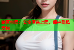 暗区禁网：安全匿名上网，保护隐私无忧