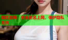 暗区禁网：安全匿名上网，保护隐私无忧