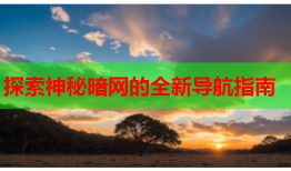 探索神秘暗网的全新导航指南