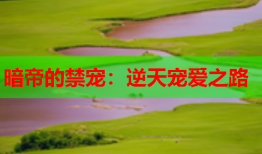 暗帝的禁宠：逆天宠爱之路
