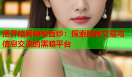 揭开暗网神秘面纱：探索隐秘交易与信息交流的黑暗平台