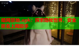 暗网禁地.apk：探索隐秘世界，安全匿名上网助手