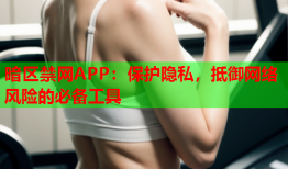 暗区禁网APP：保护隐私，抵御网络风险的必备工具