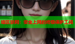 暗区禁网：安全上网的终极保护工具