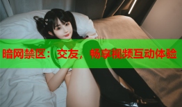 暗网禁区：交友，畅享视频互动体验