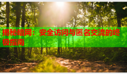 揭秘暗网：安全访问与匿名交流的终极指南