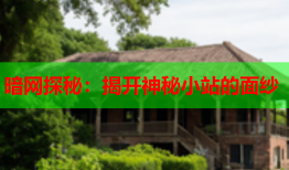 暗网探秘：揭开神秘小站的面纱