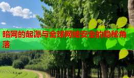 暗网的起源与全球网络安全的隐秘角落