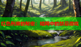 红色刑房的秘密：暗网中的禁忌游戏