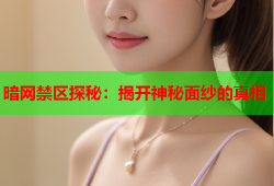 暗网禁区探秘：揭开神秘面纱的真相