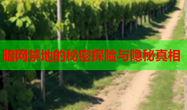 暗网禁地的秘密探险与隐秘真相