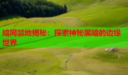 暗网禁地揭秘：探索神秘黑暗的边缘世界