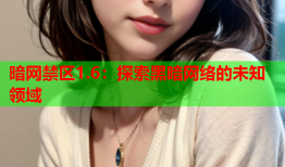 暗网禁区1.6：探索黑暗网络的未知领域