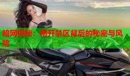 暗网探秘：揭开禁区背后的秘密与风险