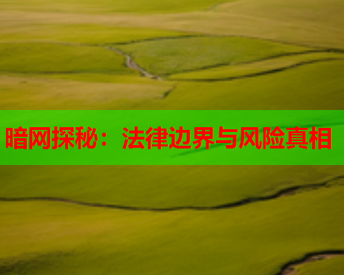 暗网探秘：法律边界与风险真相