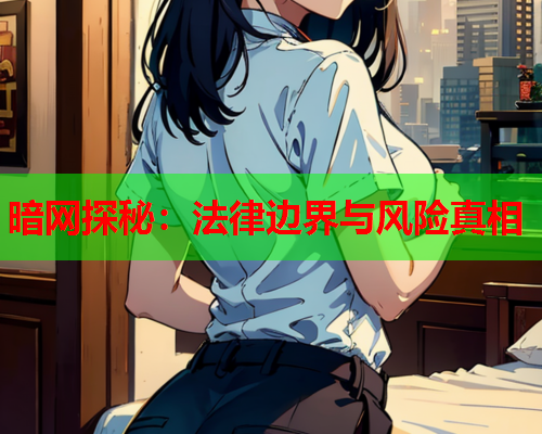 暗网探秘：法律边界与风险真相