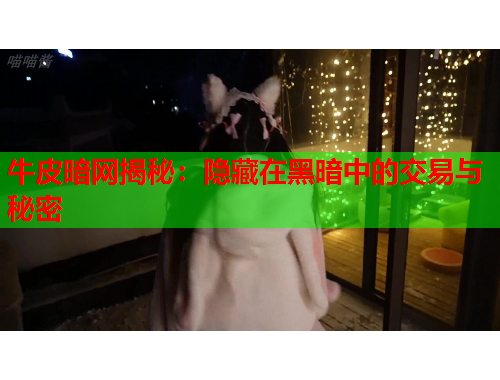 牛皮暗网揭秘：隐藏在黑暗中的交易与秘密