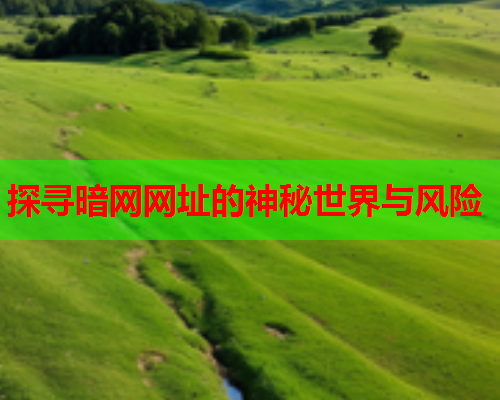 探寻暗网网址的神秘世界与风险
