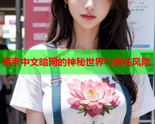 探索中文暗网的神秘世界与潜在风险