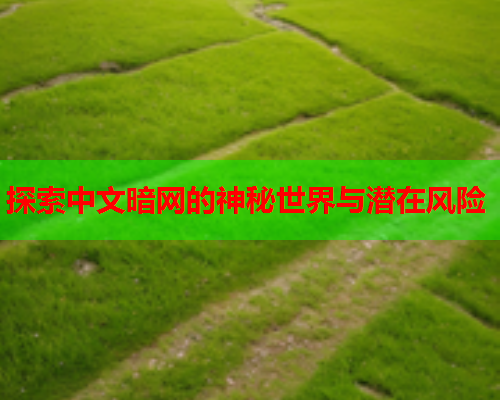 探索中文暗网的神秘世界与潜在风险