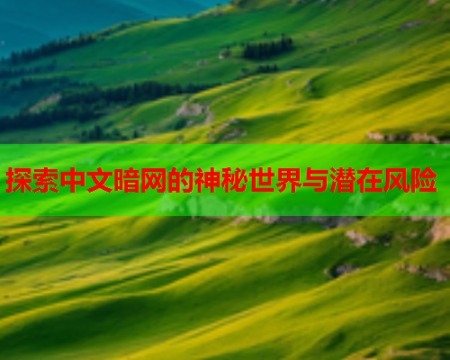 探索中文暗网的神秘世界与潜在风险