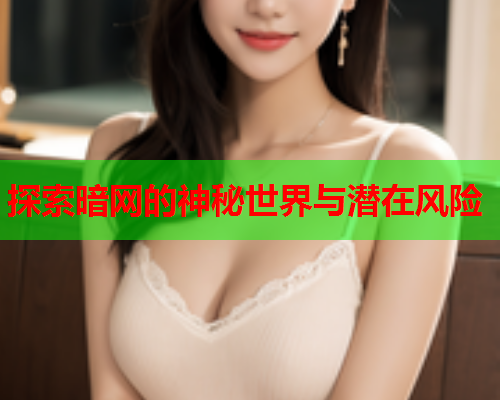 探索暗网的神秘世界与潜在风险