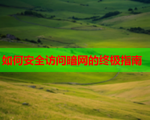 如何安全访问暗网的终极指南