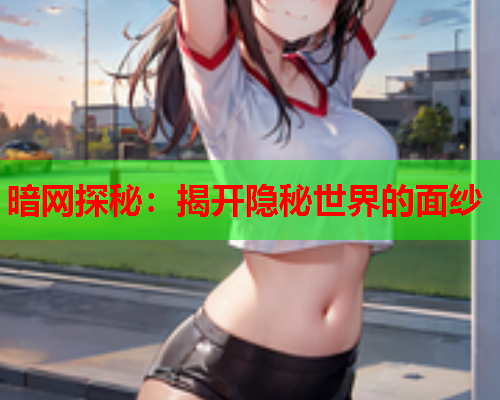 暗网探秘：揭开隐秘世界的面纱