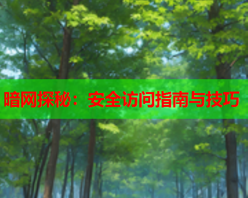 暗网探秘：安全访问指南与技巧