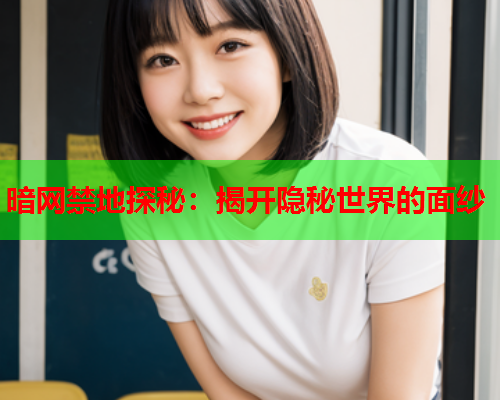 暗网禁地探秘：揭开隐秘世界的面纱