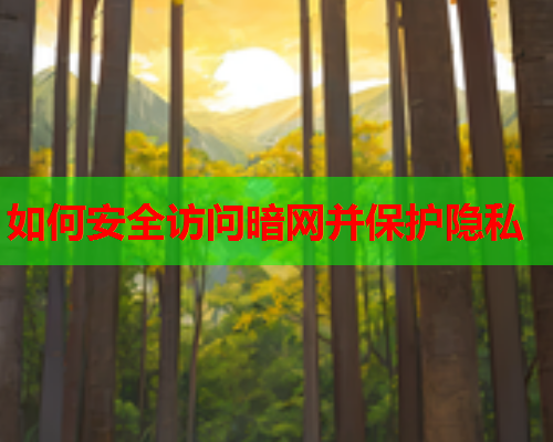如何安全访问暗网并保护隐私