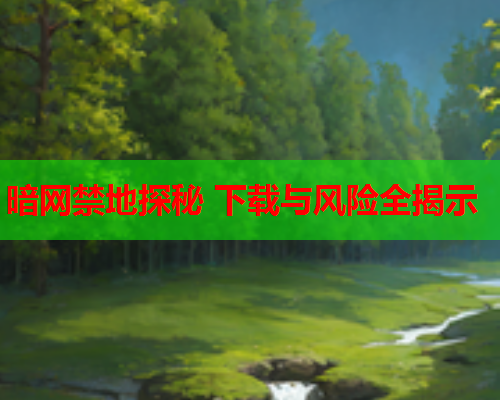 暗网禁地探秘 下载与风险全揭示